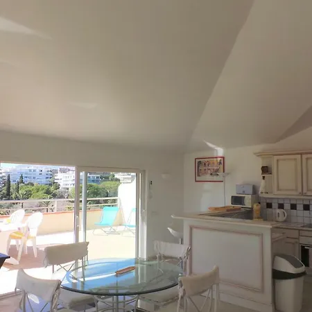 Spacious And Bright Flat Downtown And Beaches - Swimming Pool Apartament Antibes